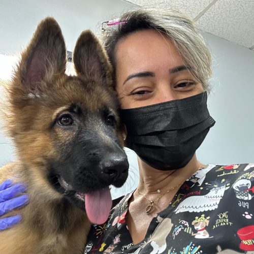 WhatsApp Image 2024-11-28 at 11.29.06 (1)