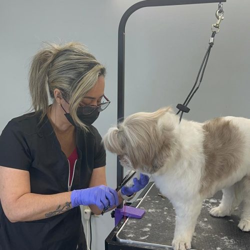 WhatsApp Image 2024-11-28 at 11.29.06 (2)