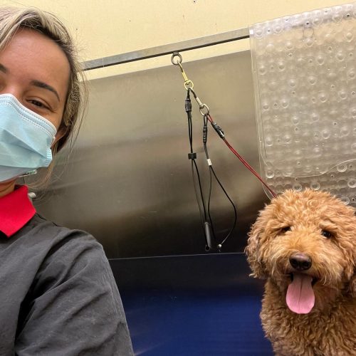 WhatsApp Image 2024-11-28 at 11.29.07